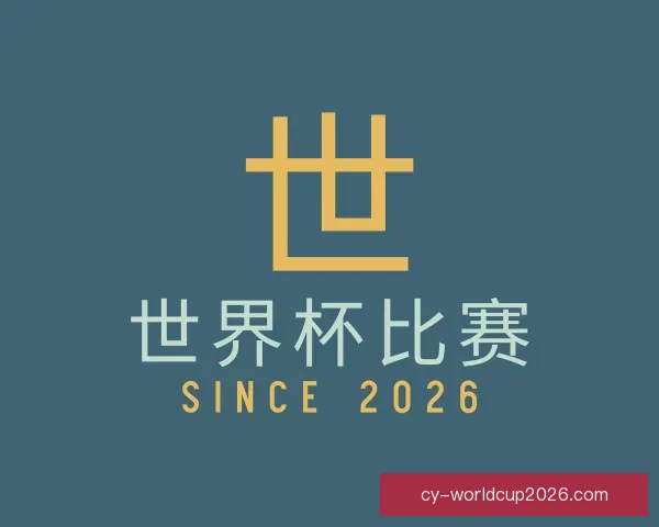 关于世界杯比赛